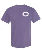 Clovis Wildcat Baseball Comfort Colors TShirt