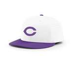 Clovis Wildcat Baseball C Puff Embroidered Hat